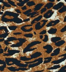 TIGER Collection